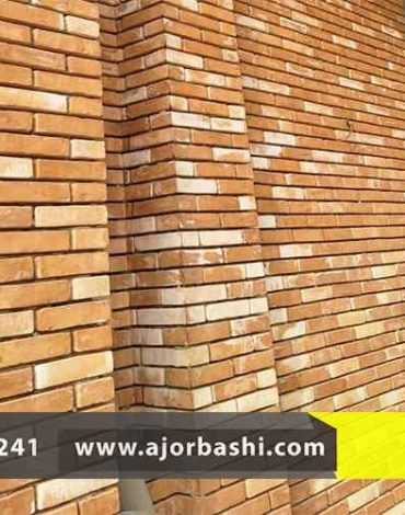 شوره آجرنما